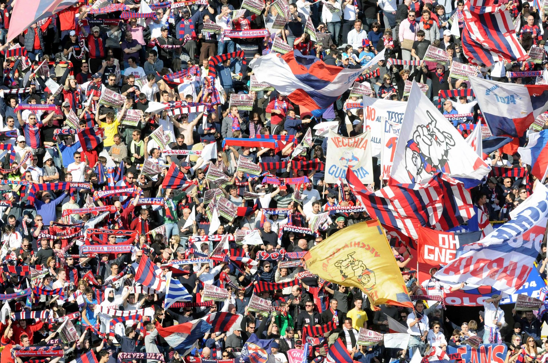 crediti immagine: Bologna FC