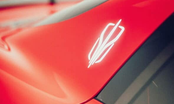 Il logo del gruppo silk-faw