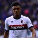 Dan Ndoye (© Bologna FC 1909)