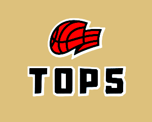 Logo TOP 5