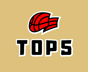 Logo TOP 5
