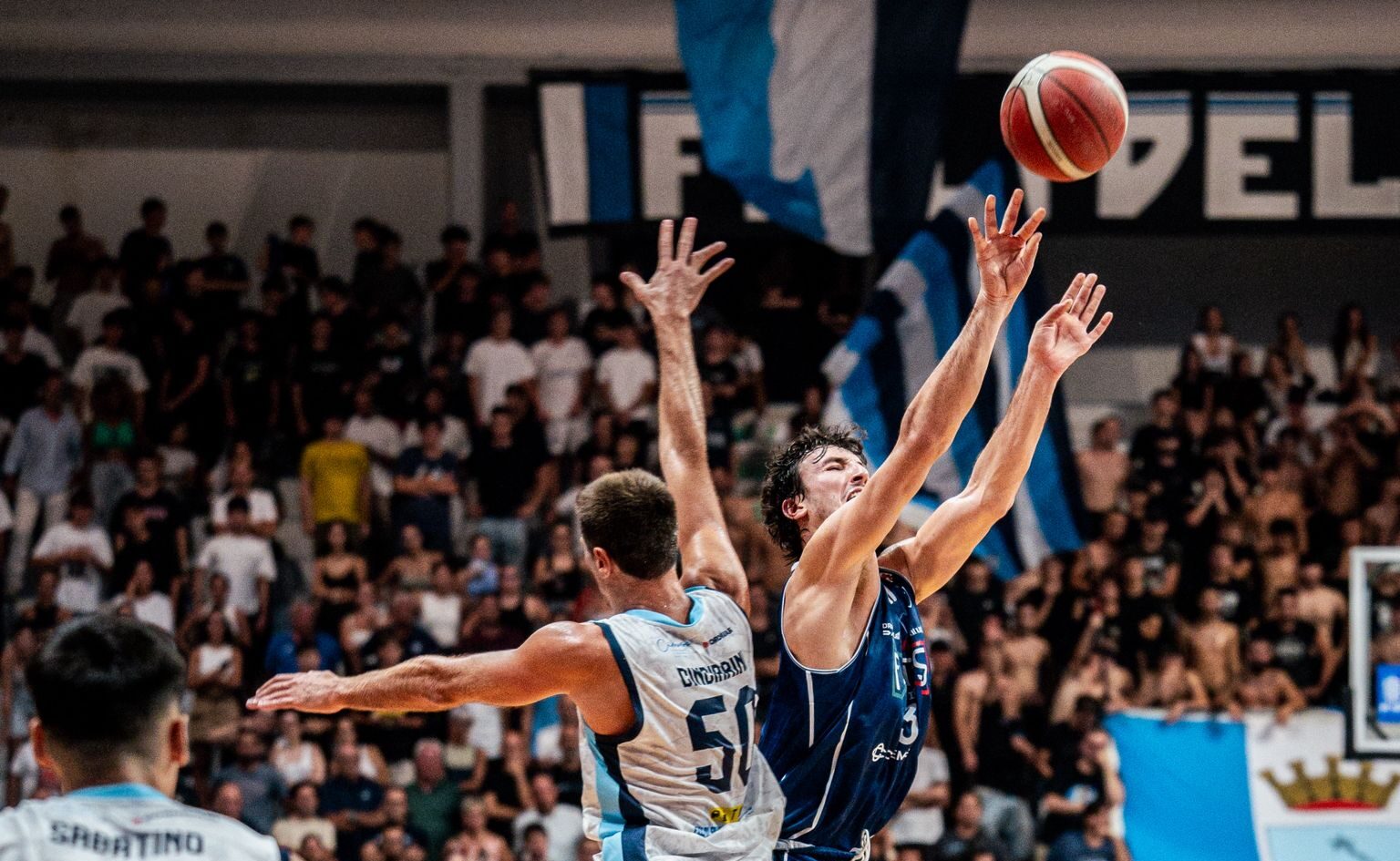 Fortitudo Flats Service Bologna (©Fortitudo Flats Service Bologna)