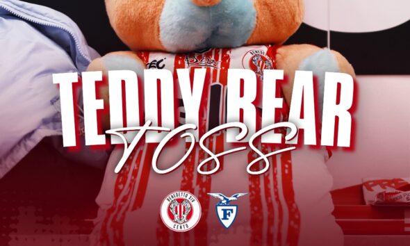 Teddy Bear Toss Benedetto XIV Cento