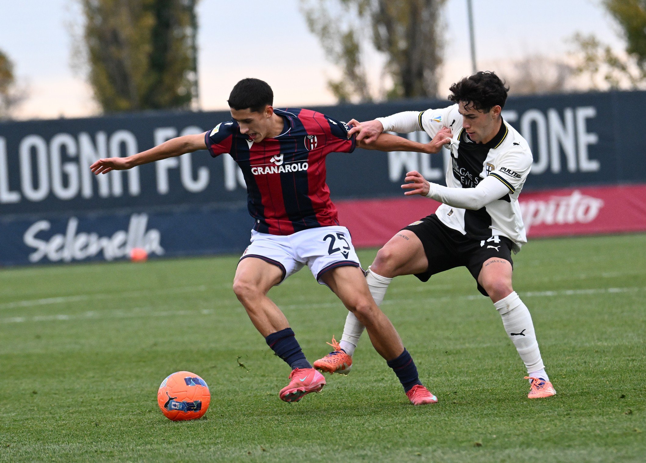 Bologna Primavera, Toroc (© Bologna FC 1909)