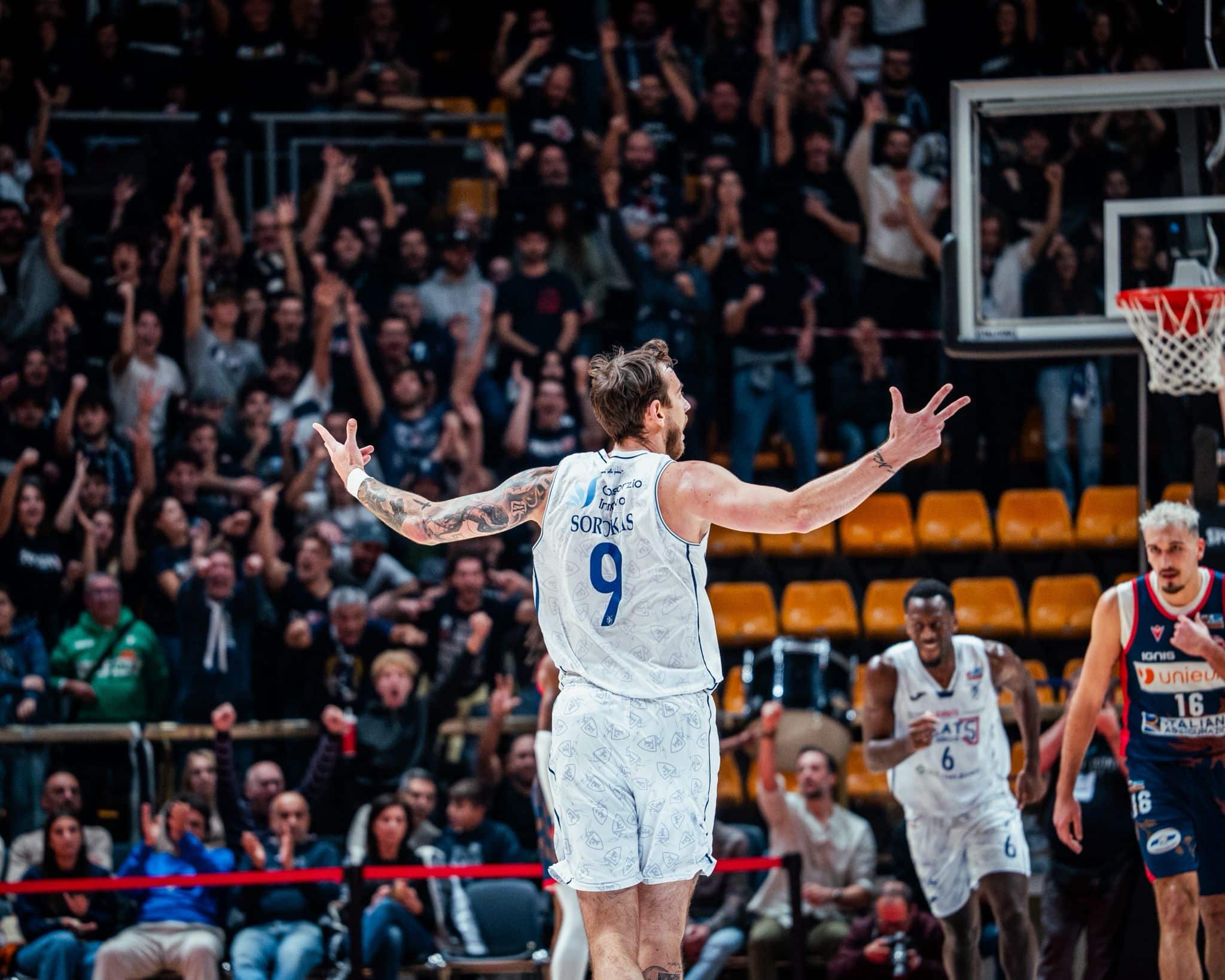 Fortitudo Flats Service Bologna - Unieuro Forlì (©Fortitudo Flats Service Bologna)