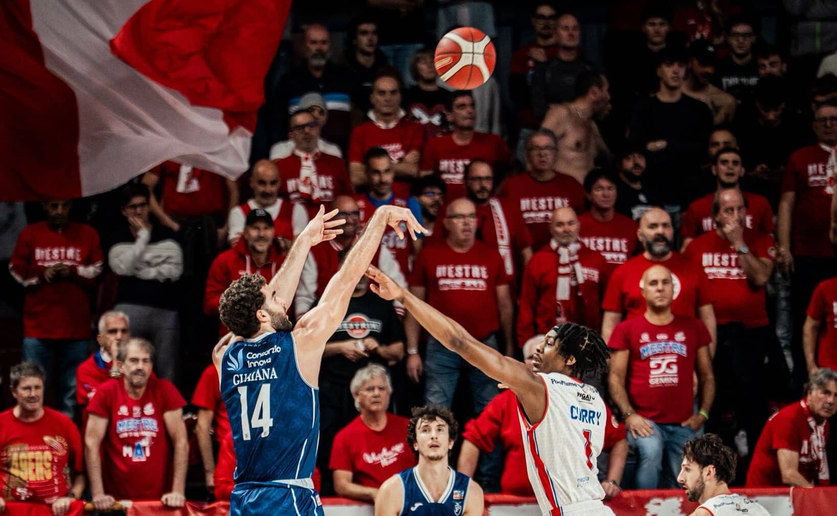 Gemini Mestre - Fortitudo Flats Service Bologna (©Fortitudo Flats Service Bologna)