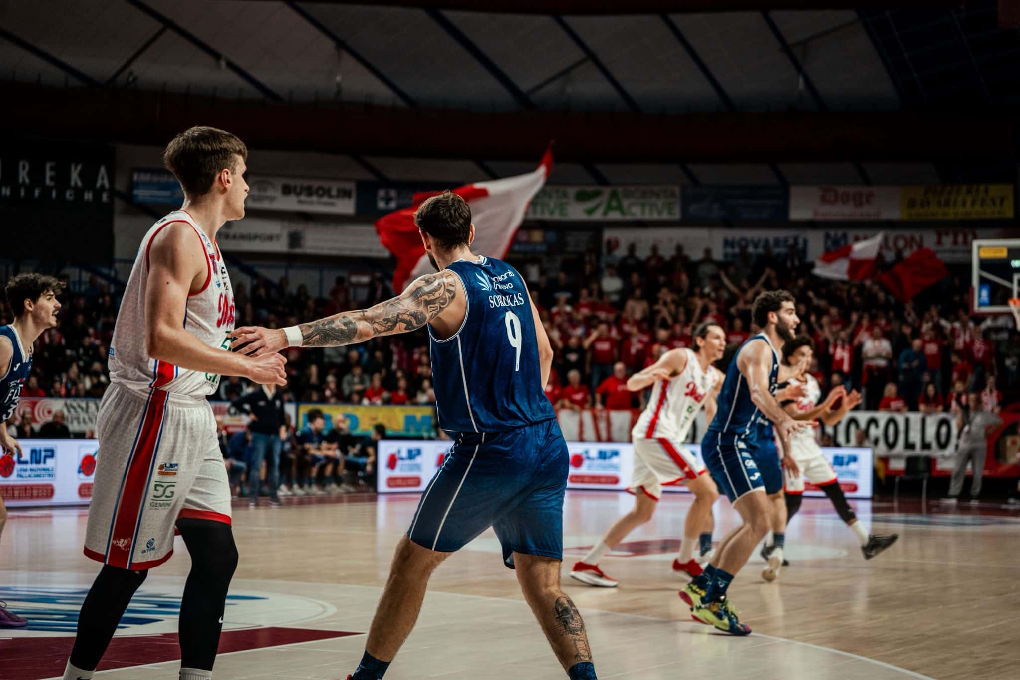 Gemini Mestre - Fortitudo Flats Service Bologna (©Fortitudo Flats Service Bologna)