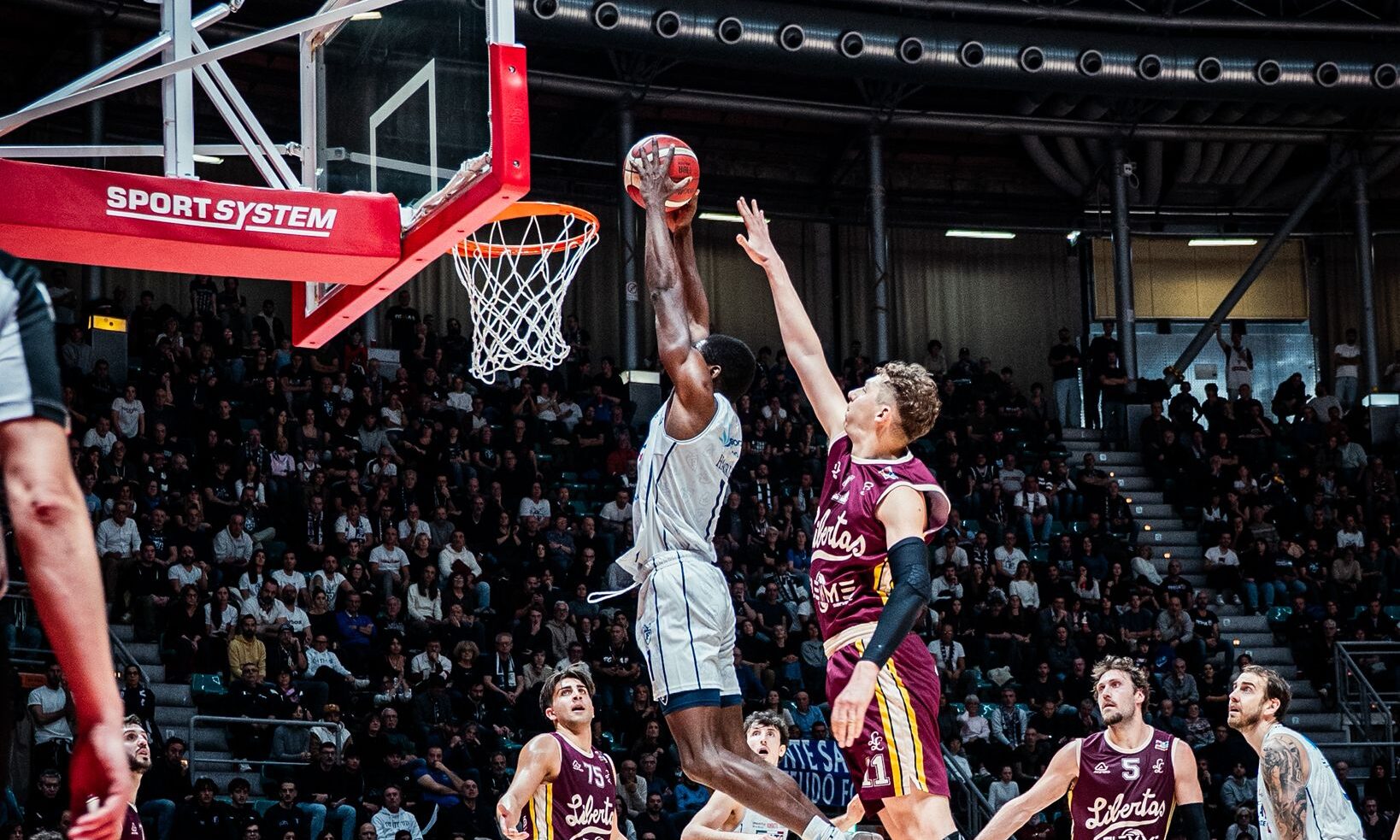 Jordan Harris crediti Fortitudo Pallacanestro