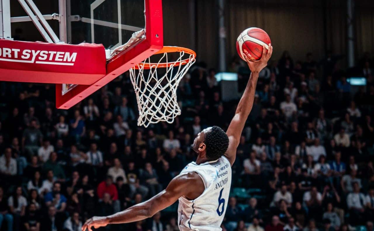 Fortitudo Flats Service Bologna - Ruvo di Puglia (©Fortitudo Flats Service Bologna)