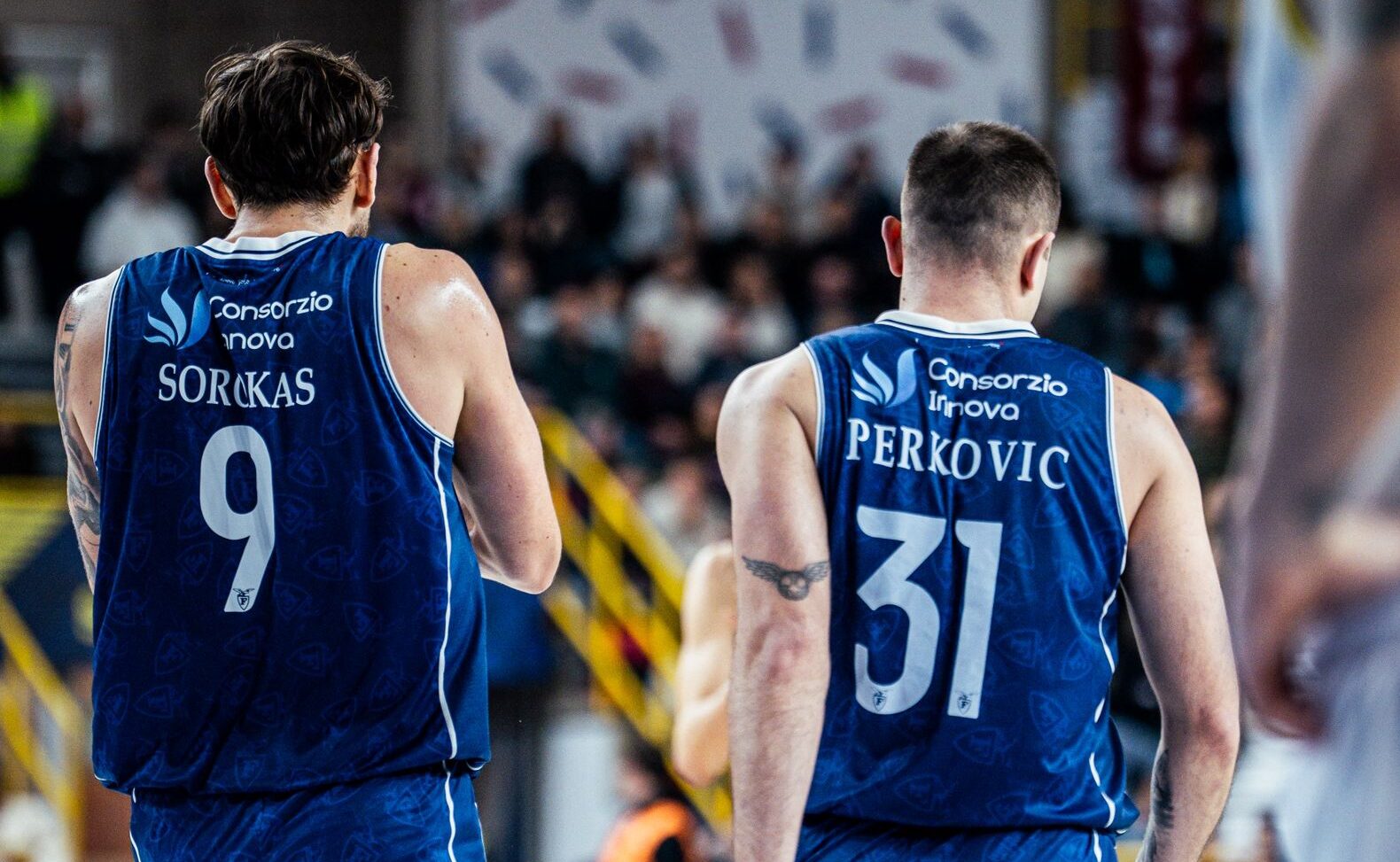 Tezenis Verona - Fortitudo Flats Service Bologna (©Fortitudo Flats Service Bologna)