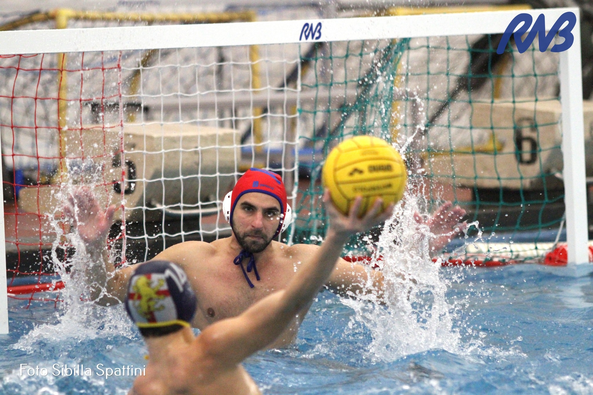 Francesco Sgobbi Rari Nantes Bologna crediti Sibilla Spattini