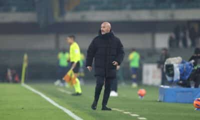 Vincenzo Italiano durante Hellas Verona - Bologna (© Bologna FC 1909)
