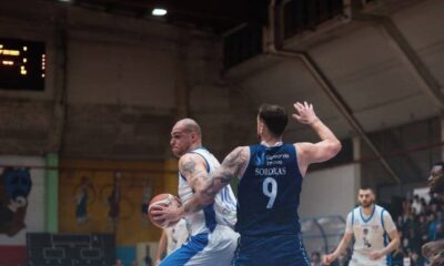 Crifo Wines Ruvo di Puglia - Fortitudo Flats Service Bologna (© Fortitudo Flats Service Bologna)