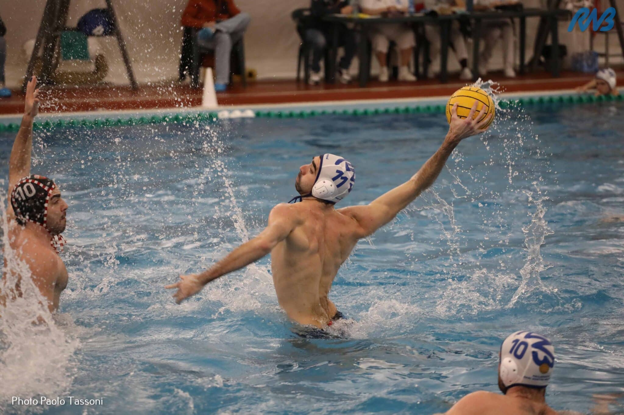 Edoardo Cocchi, 6 reti contro il Brescia Waterpolo crediti Paolo Tassoni