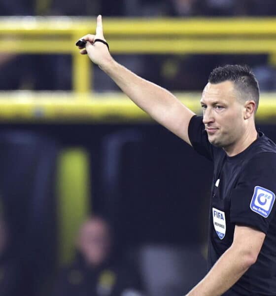 Sven Jablonski arbitro di Bologna-Roma (© ANSA)