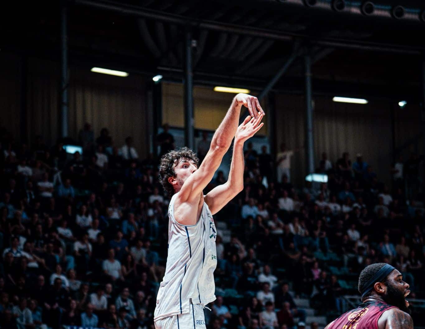 alvise sarto (fortitudo pallacanestro)