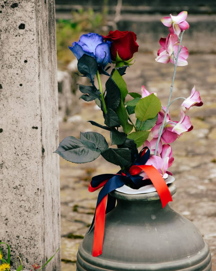 coppia di Rose Rossoblù