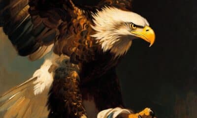 Immagine per dell'aquila e il leone
