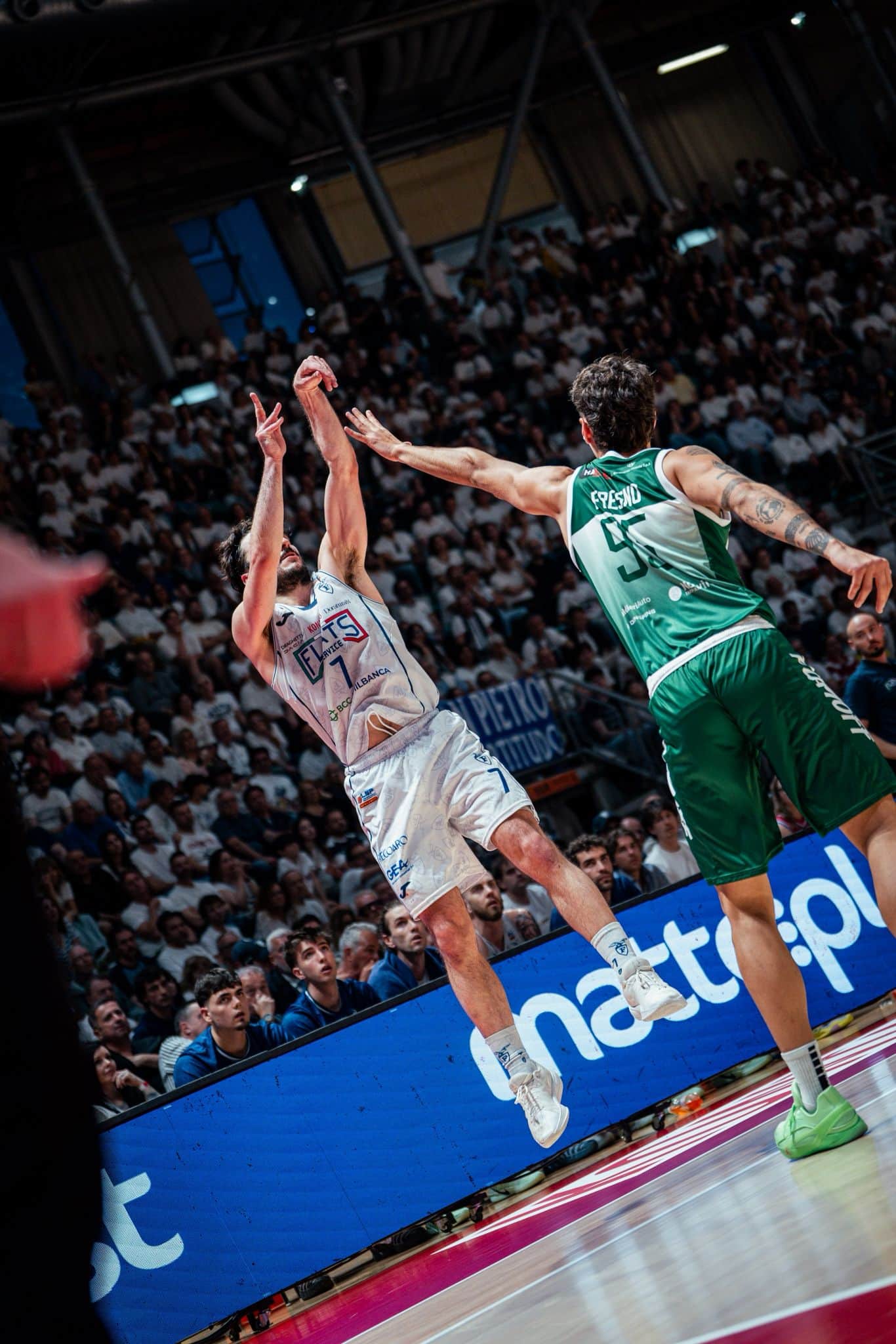 Fortitudo Flats Service Bologna - Unicusano Avellino (© Fortitudo Flats Service Bologna)