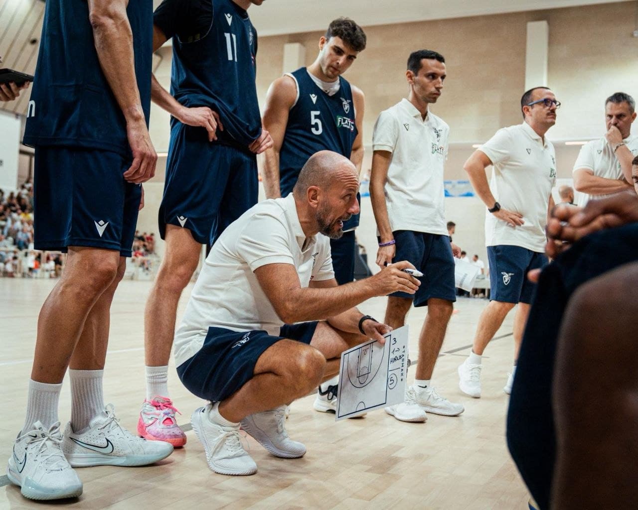 fortitudo