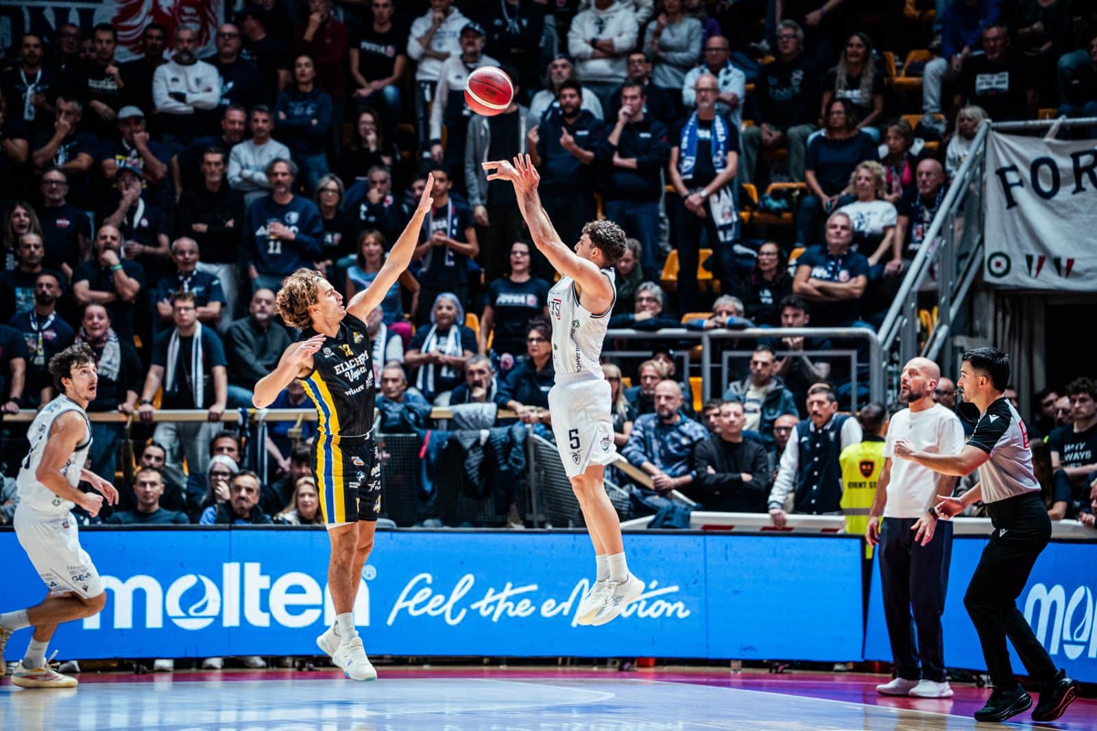 Fortitudo Flats Service Bologna -Vigevano Basket (© Fortitudo Flats Service Bologna)